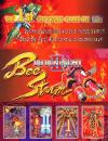 DoDonPachi II - Bee Storm (Ver. 102) Box Art Front